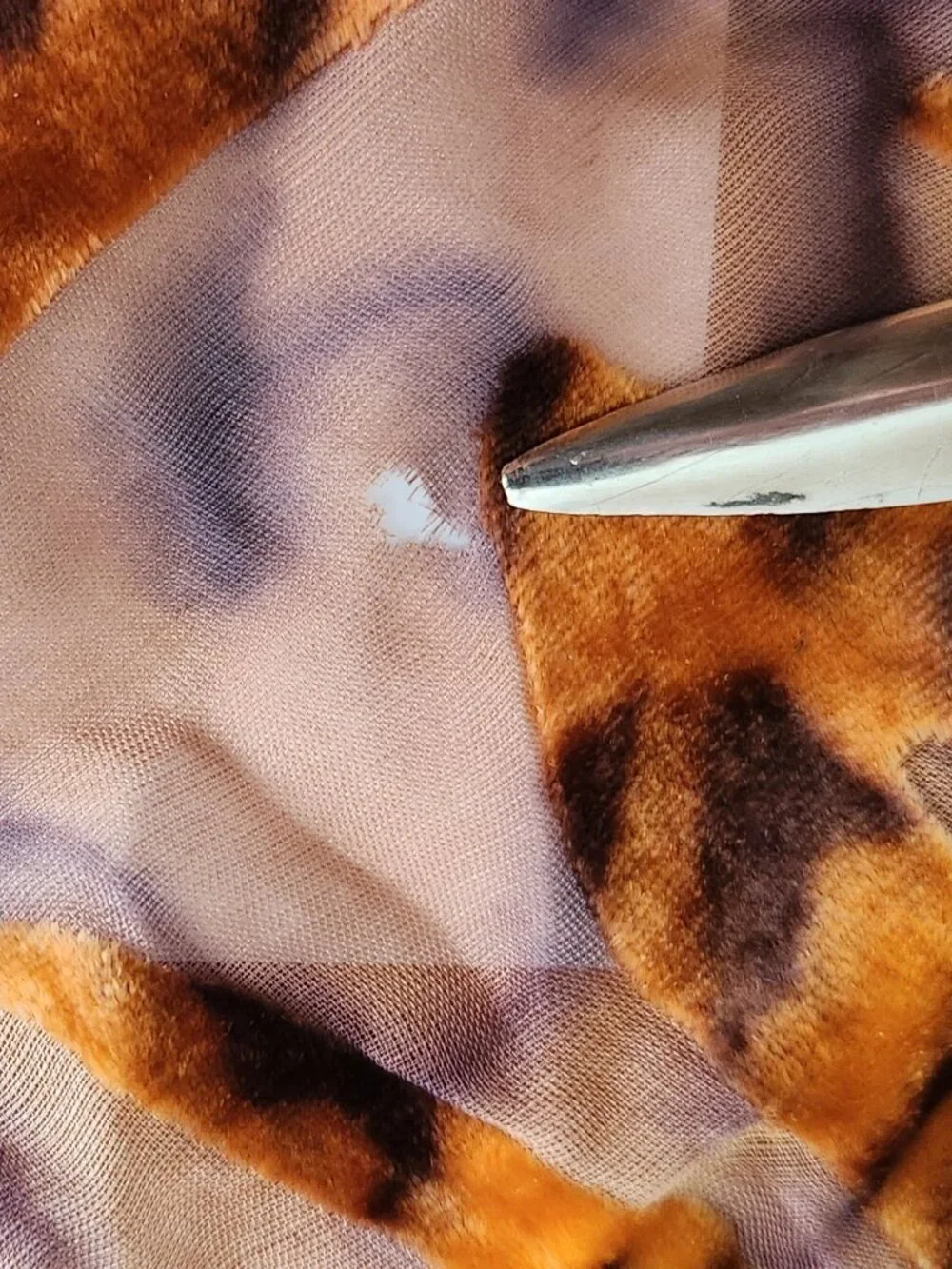 Nordstrom Animal Print Scarf